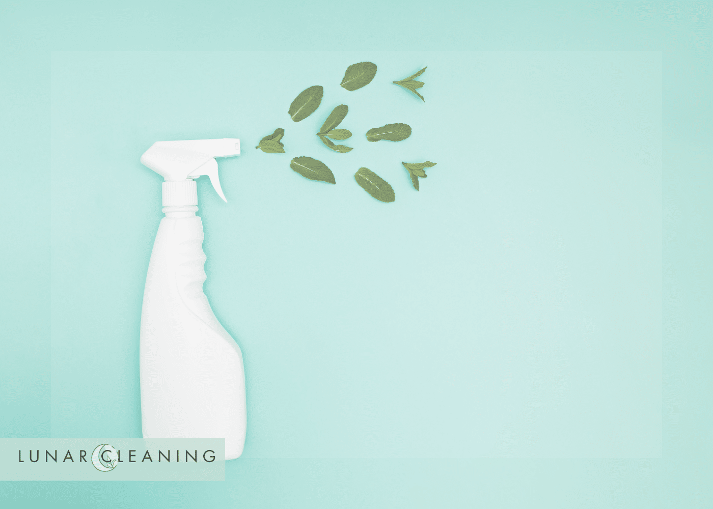 Discover 5 health benefits of eco-friendly cleaning products—better air, fewer toxins, safer homes, and sustainable habits for UK households.